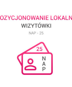 wizytówki NAP 25