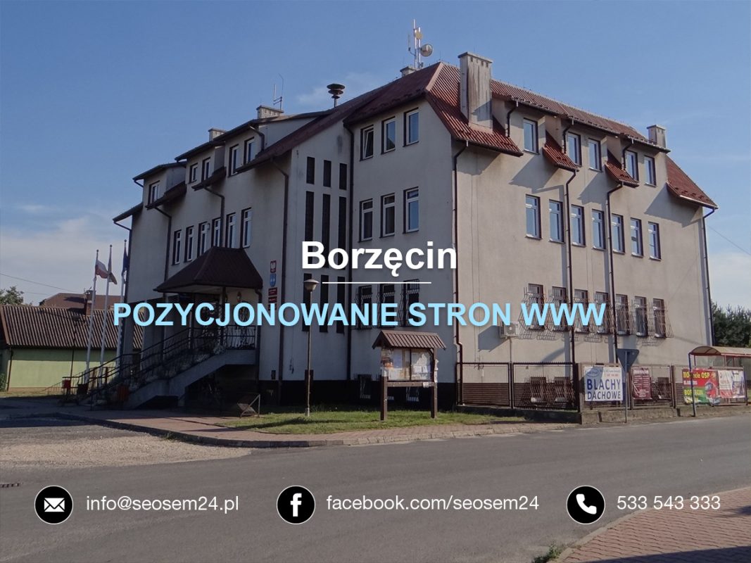 Pozycjonowanie stron www Borzęcin