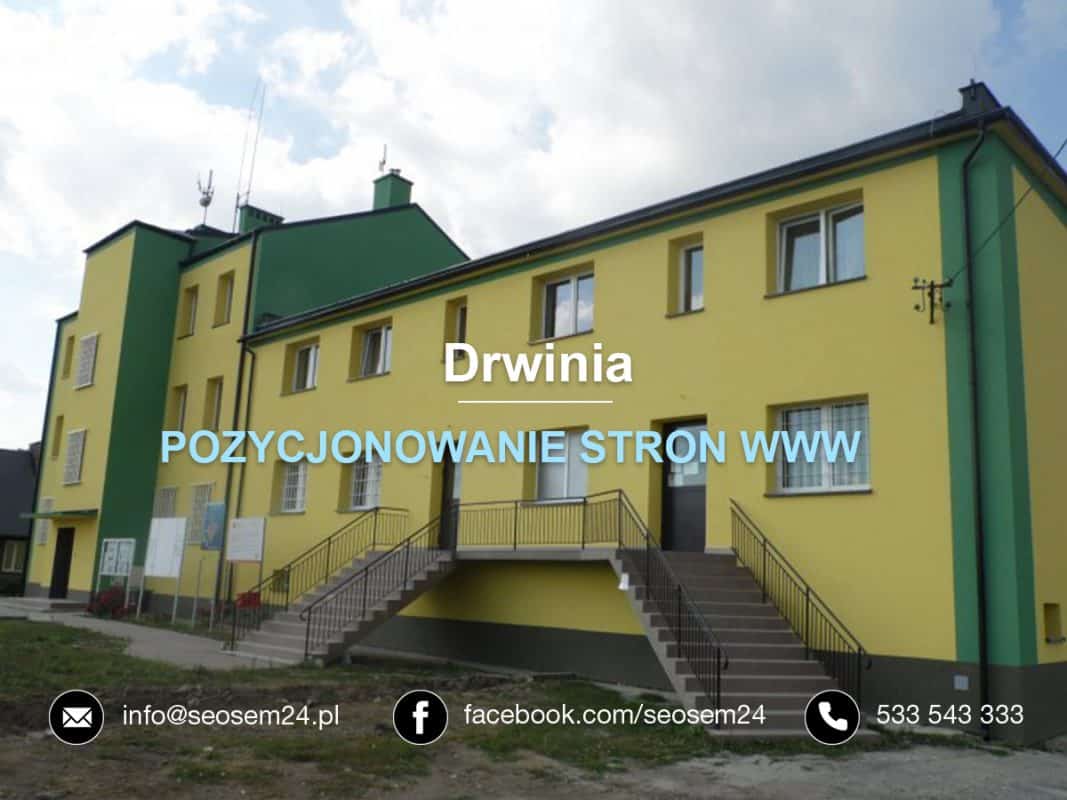 Pozycjonowanie stron www Drwinia
