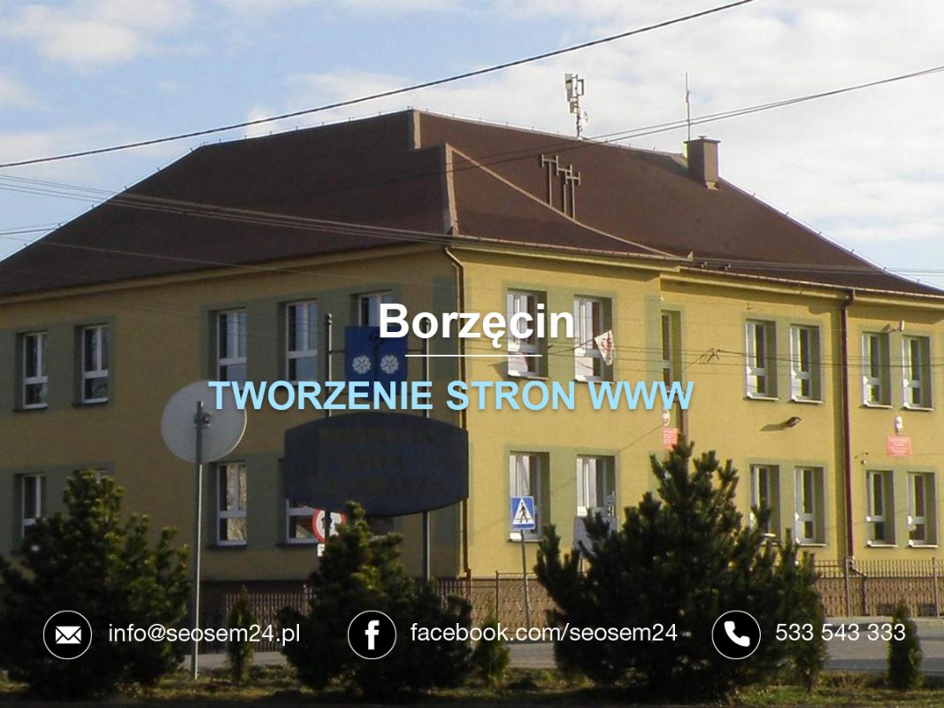 Tworzenie stron www Borzęcin