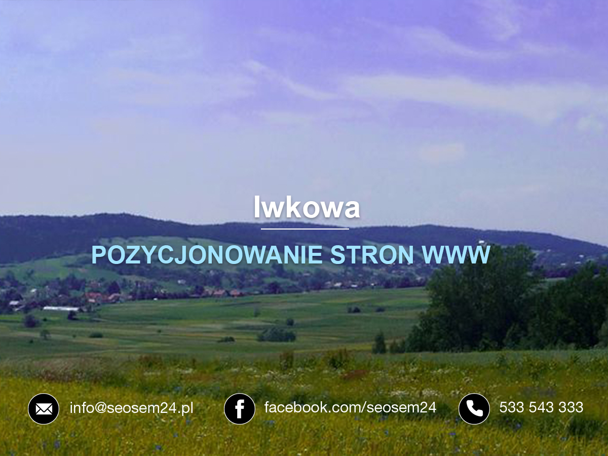 Pozycjonowanie stron www Iwkowa