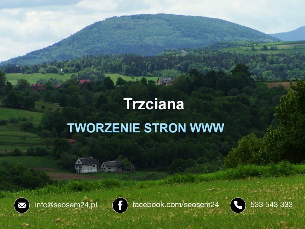 Tworzenie stron www Trzciana
