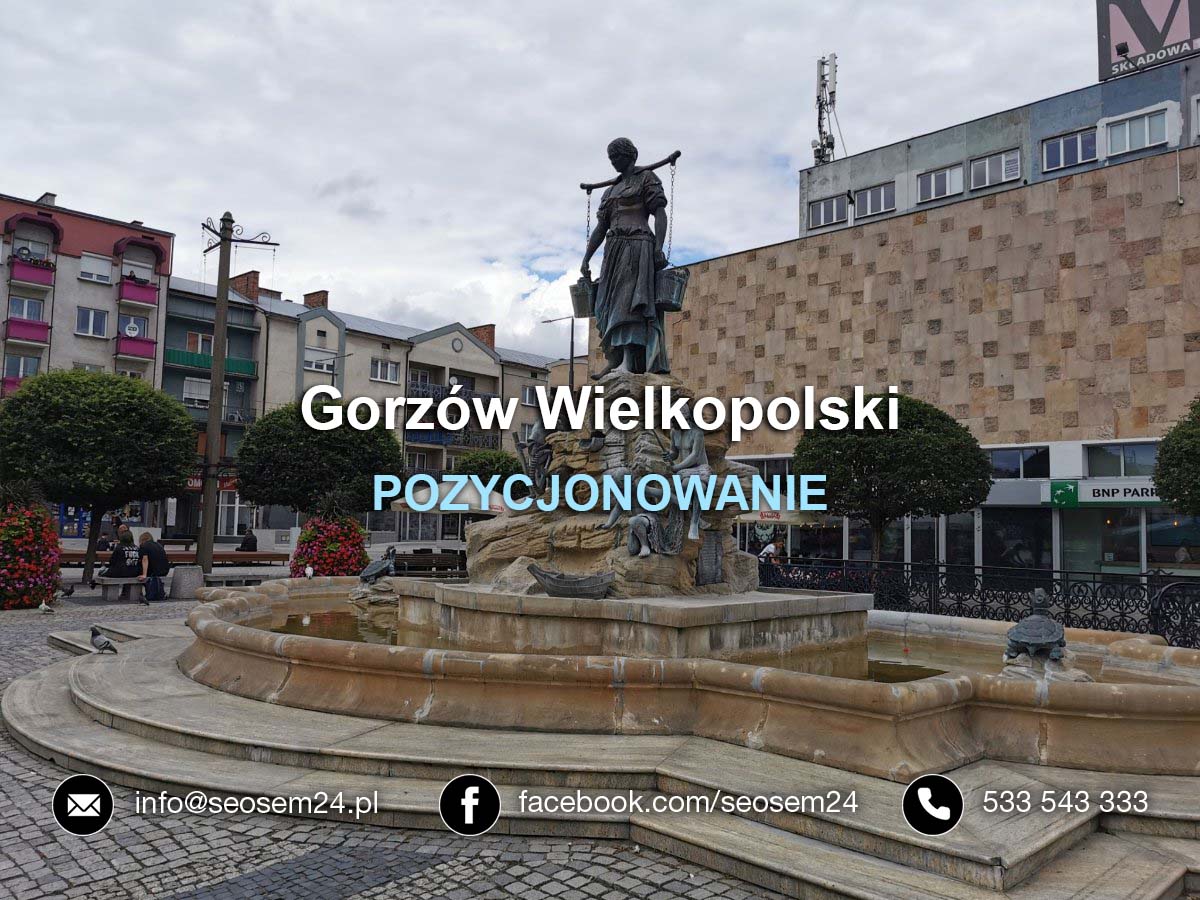 Pozycjonowanie Gorzów Wielkopolski