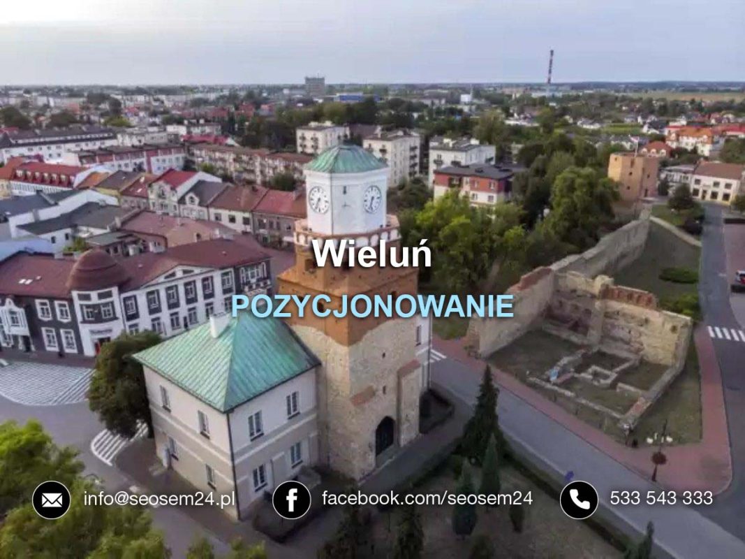 Pozycjonowanie Wieluń