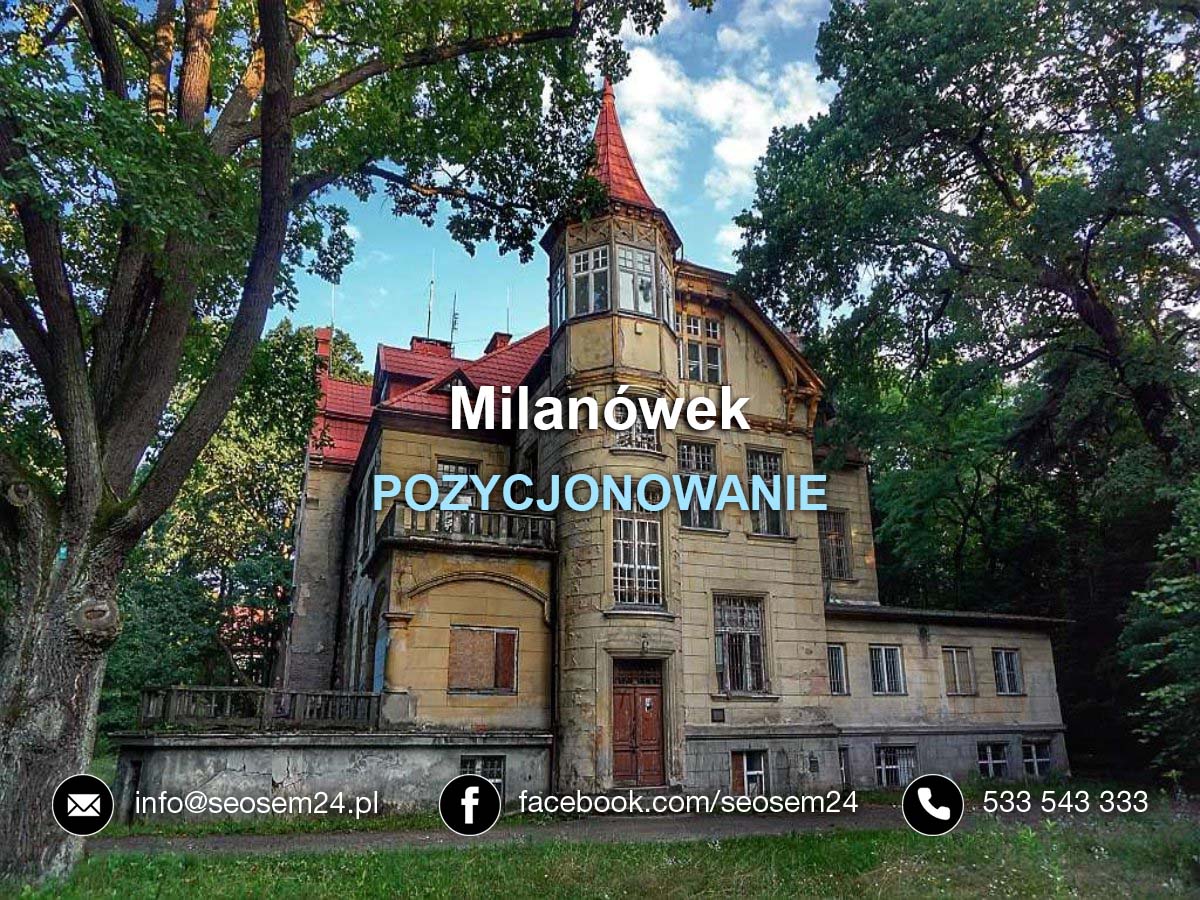 Pozycjonowanie Milanówek