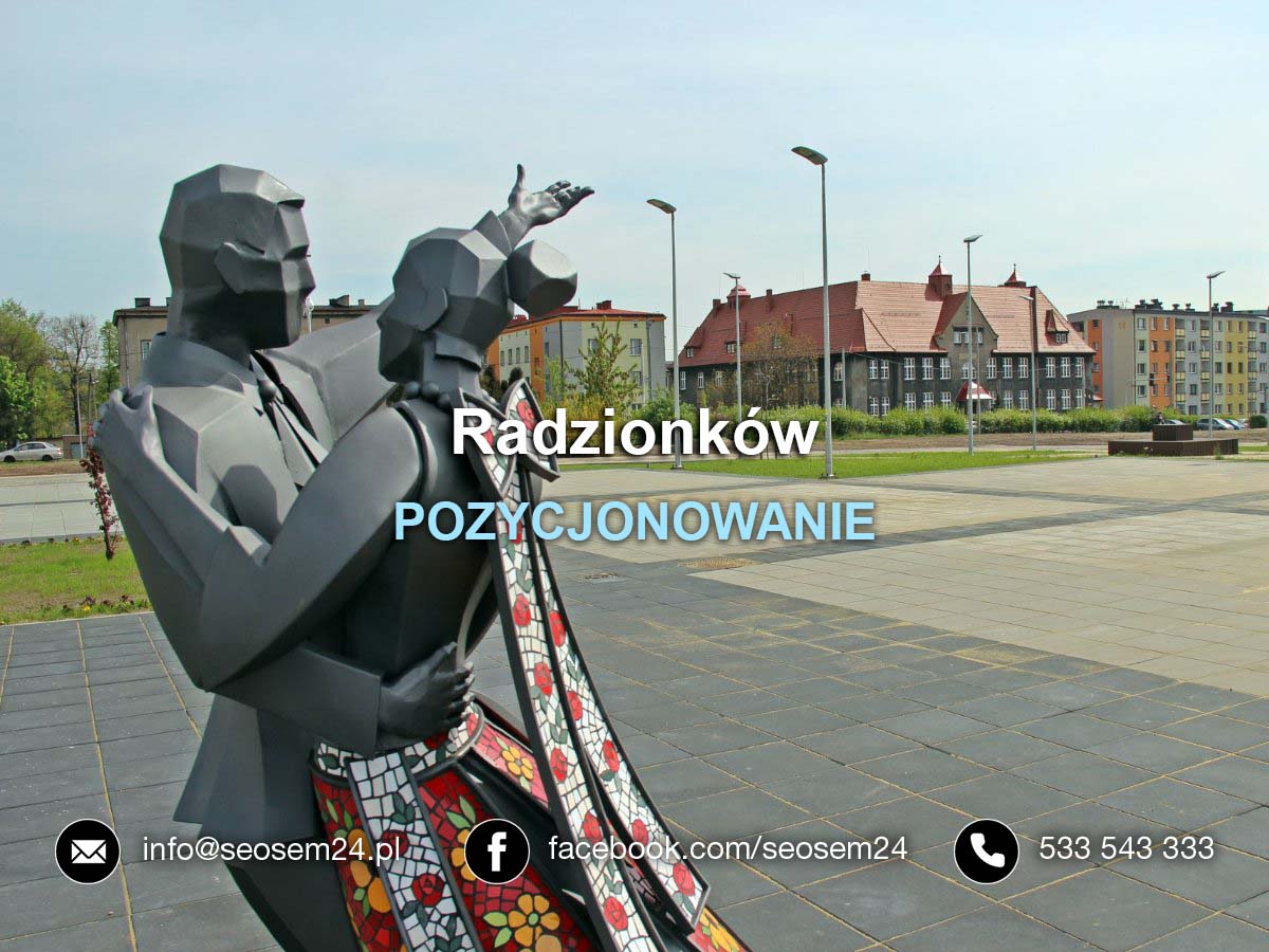 Pozycjonowanie Radzionków