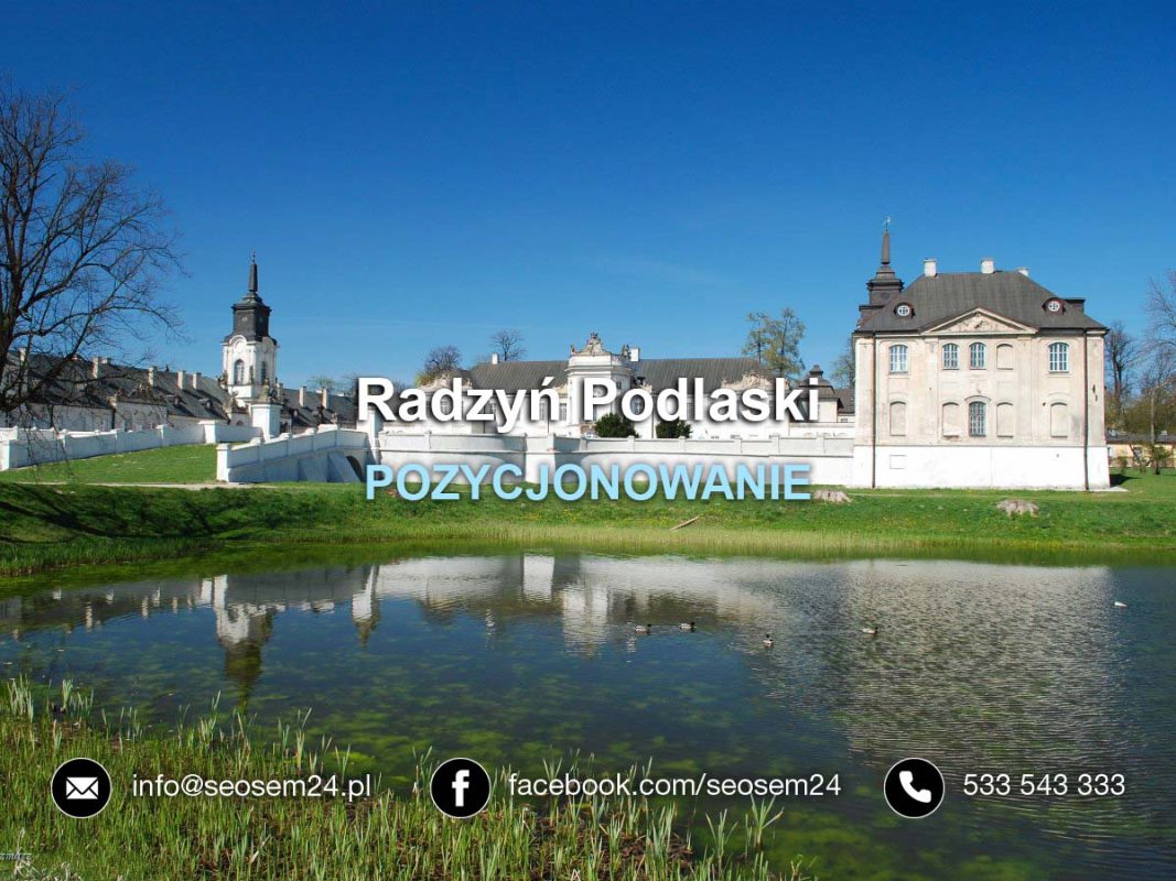 Pozycjonowanie Radzyń Podlaski