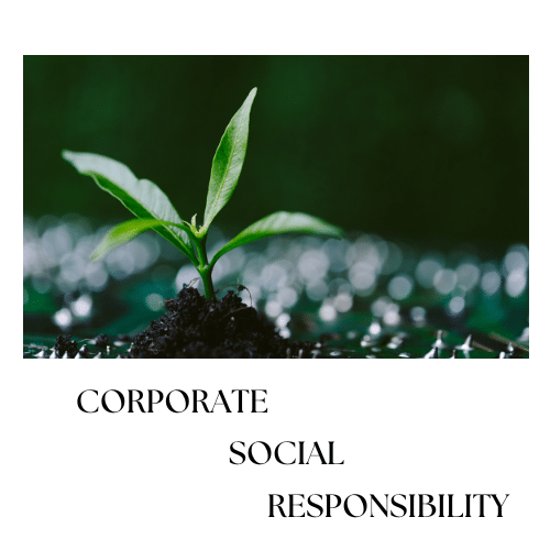 CSR - usługi z zakresu społecznej odpowiedzialności biznesu