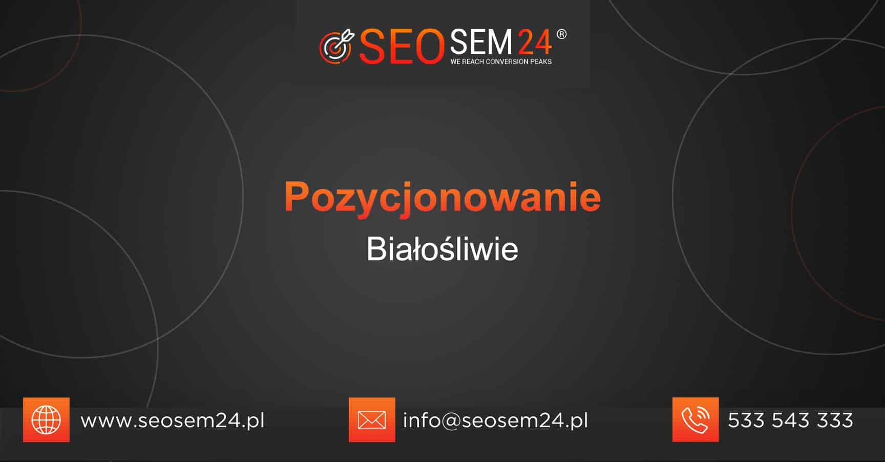 Pozycjonowanie Białośliwie