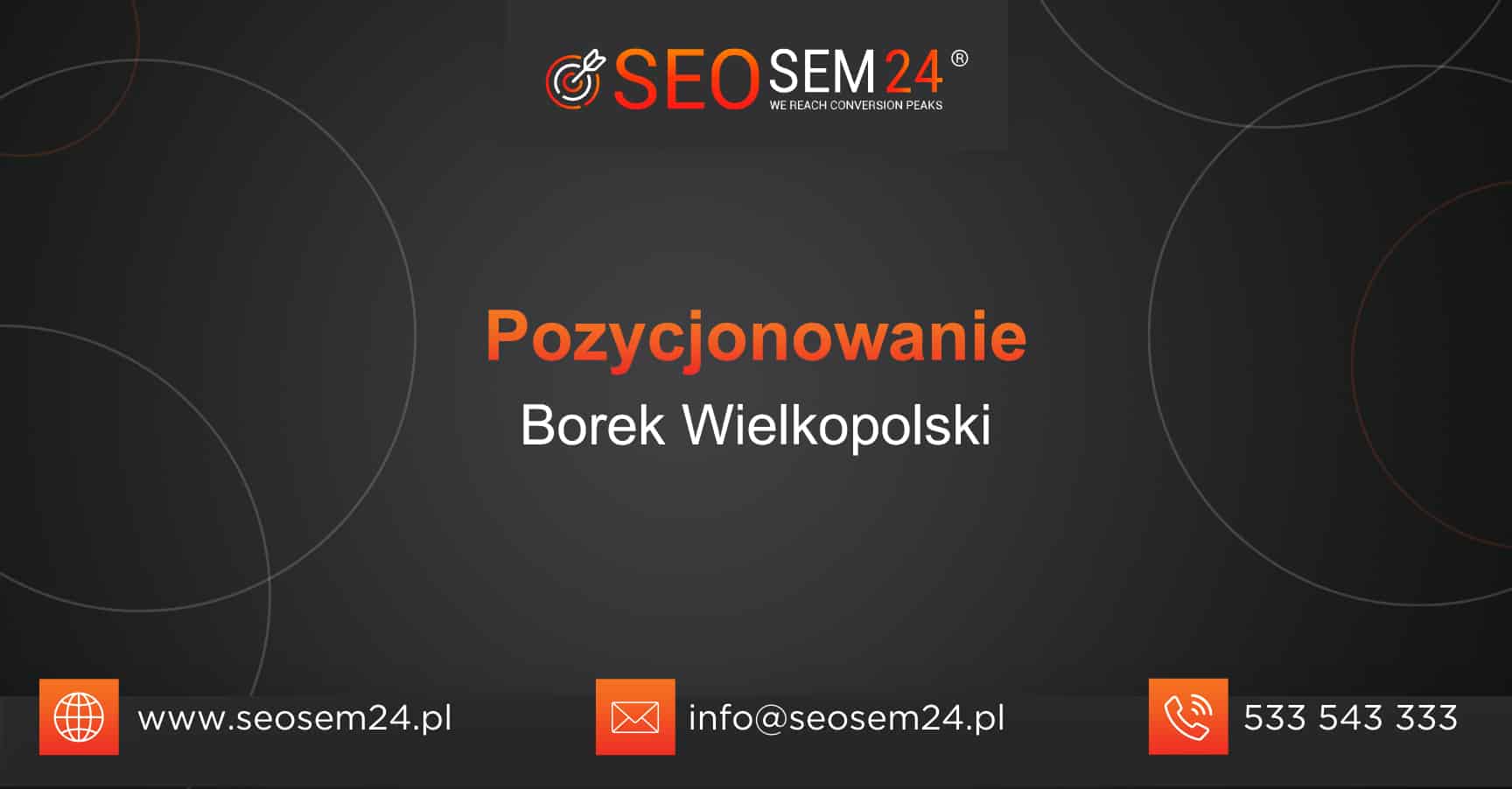 Pozycjonowanie Borek Wielkopolski