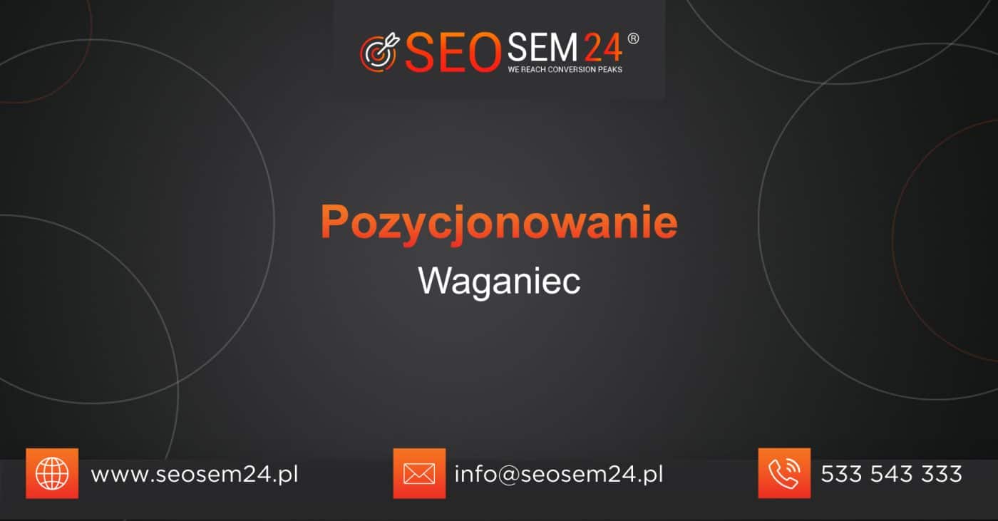 Pozycjonowanie Waganiec