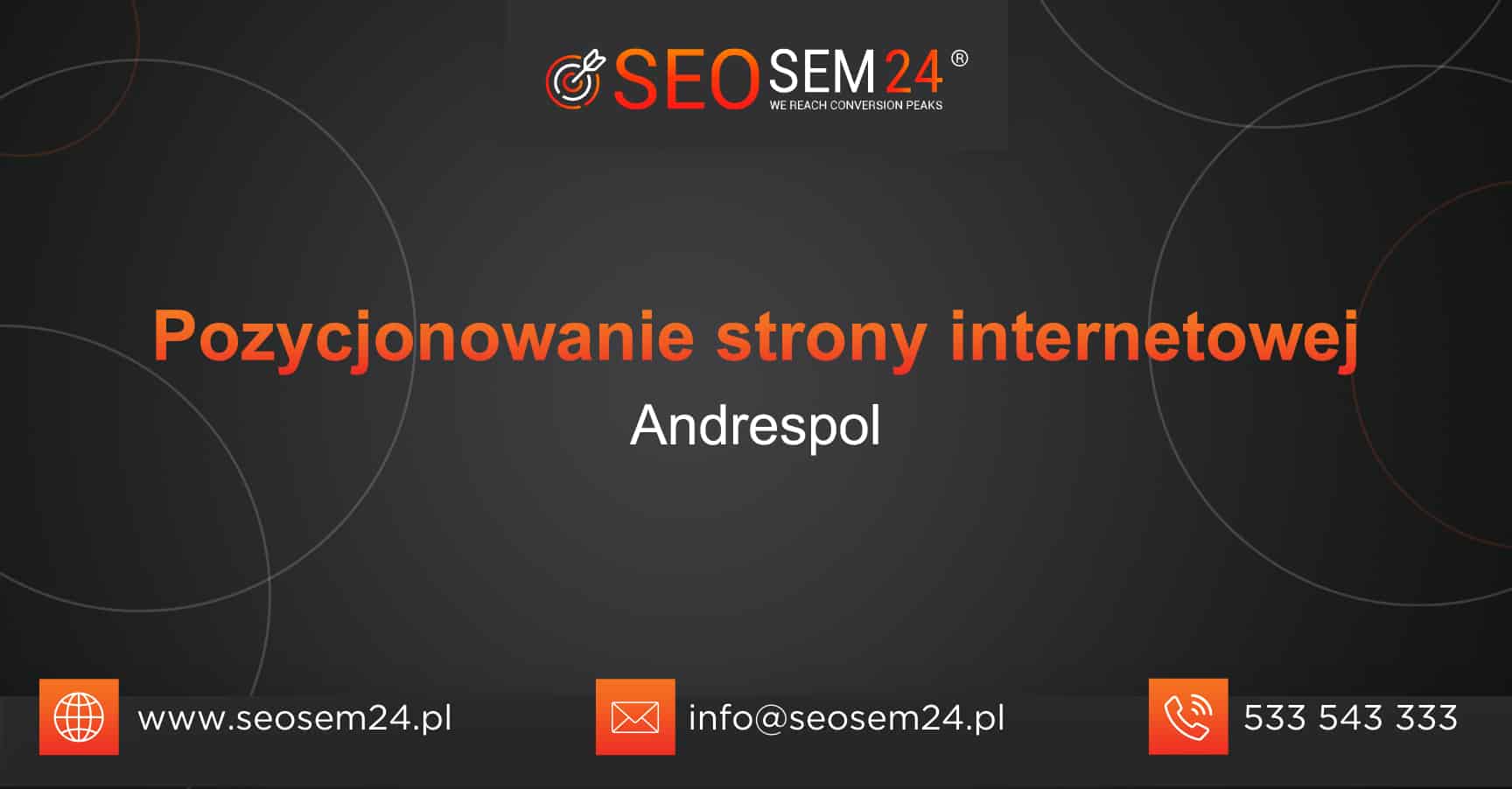 Pozycjonowanie strony internetowej Andrespol