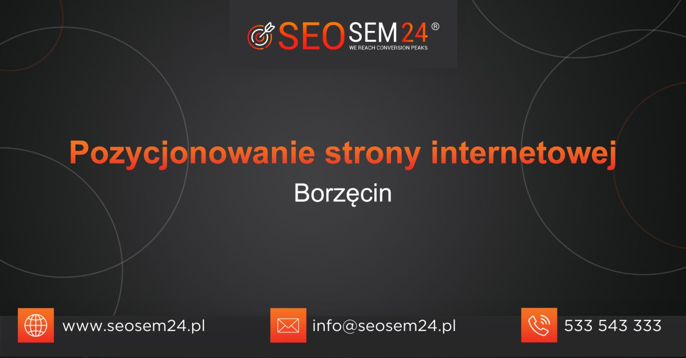 Pozycjonowanie-strony-internetowej-Borzecin