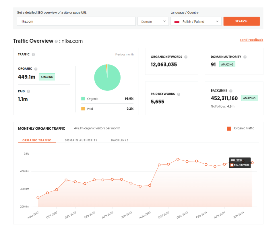 Agencja SEM w Zabierzowie - Analiza ruchu na stronie nike.com