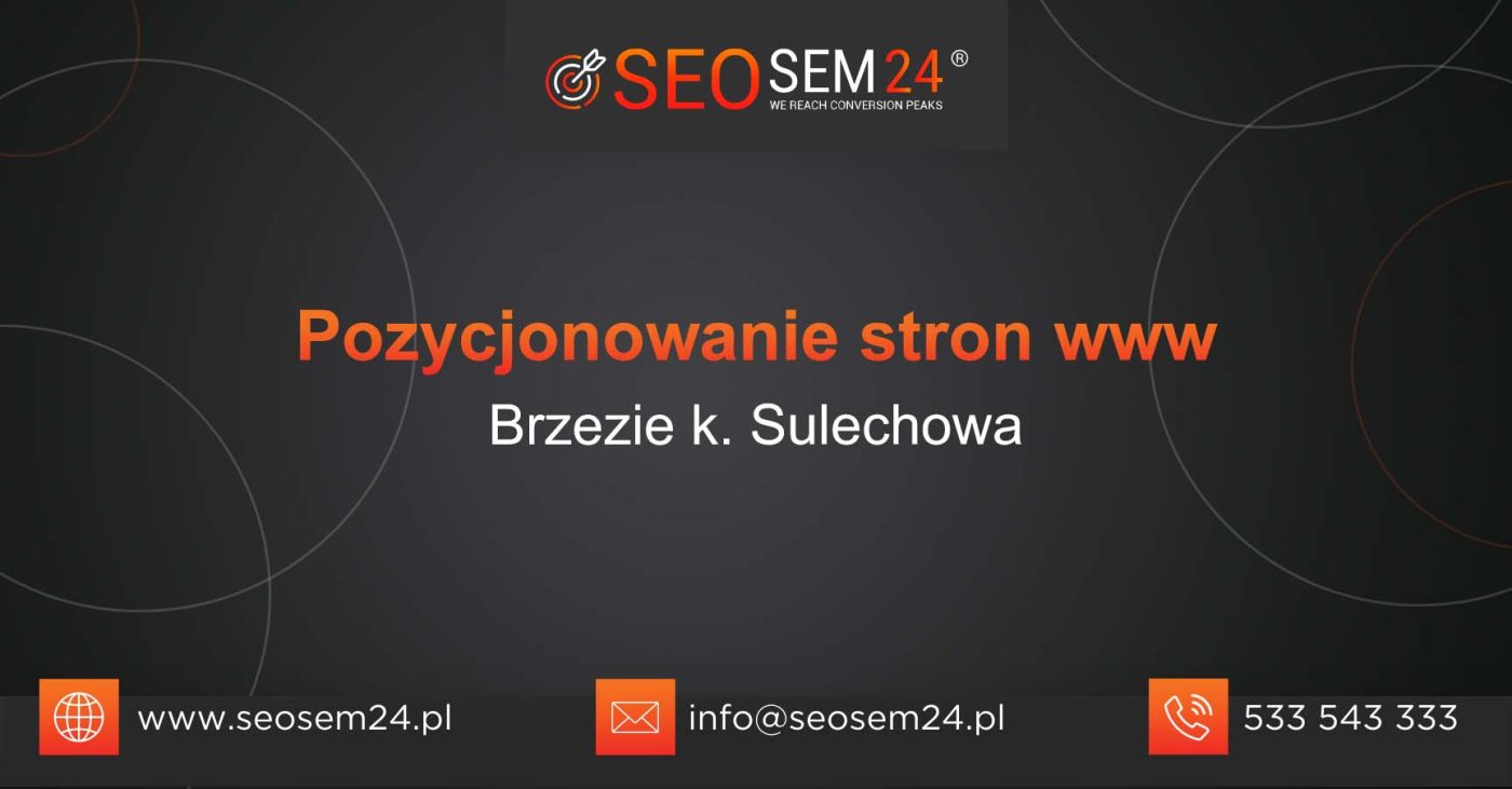 Pozycjonowanie stron www Brzezie k. Sulechowa