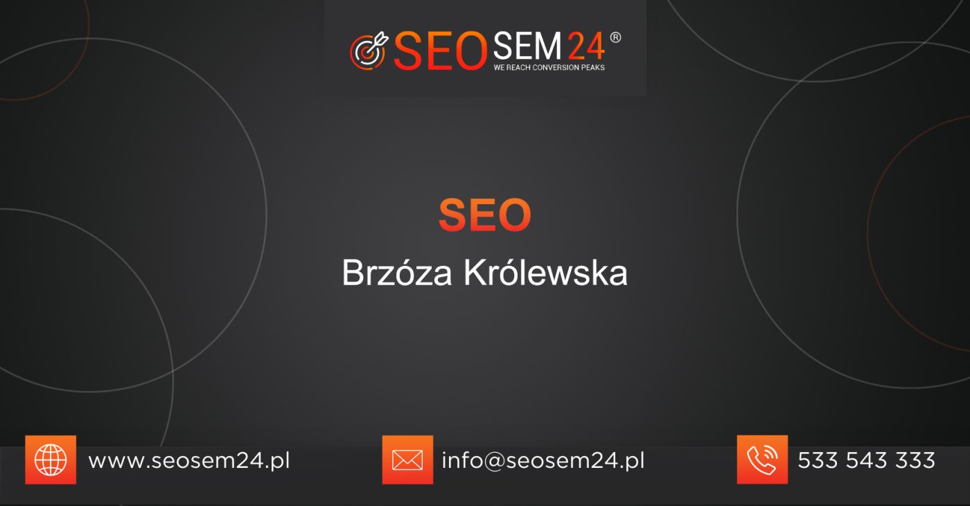 SEO Brzóza Królewska