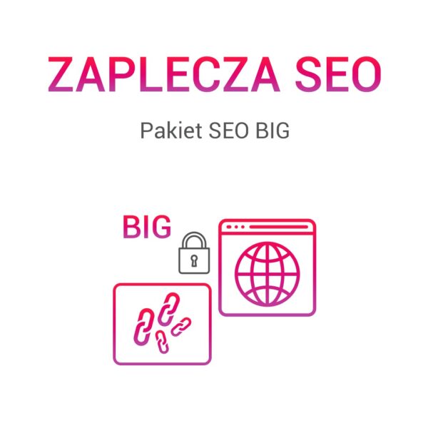 Zaplecze SEO BIG