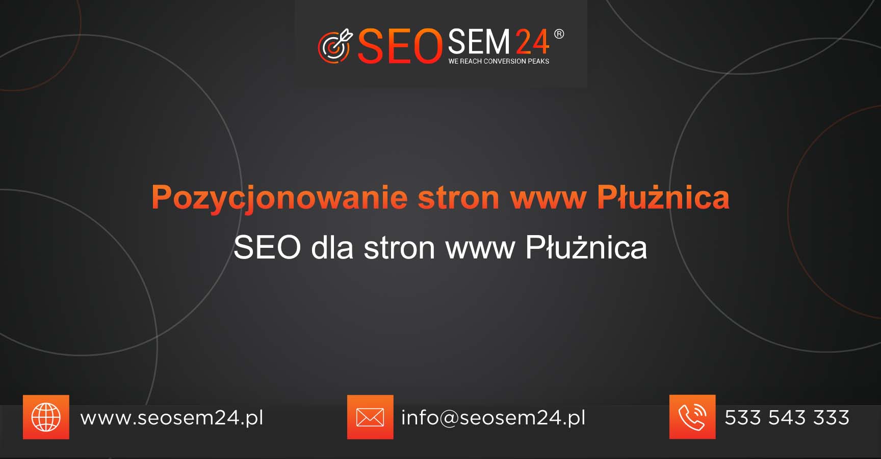 Pozycjonowanie stron www Płużnica