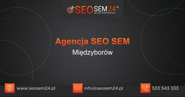 Agencja SEO SEM Międzyborów