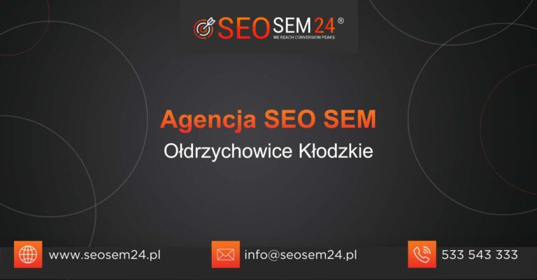 Agencja SEO SEM Ołdrzychowice Kłodzkie
