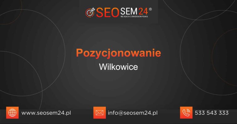 Pozycjonowanie Wilkowice