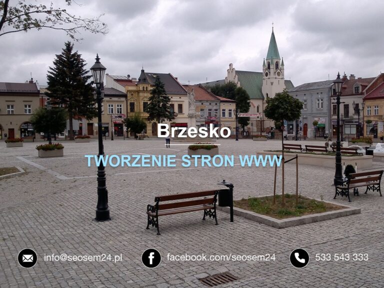 Tworzenie stron www Brzesko