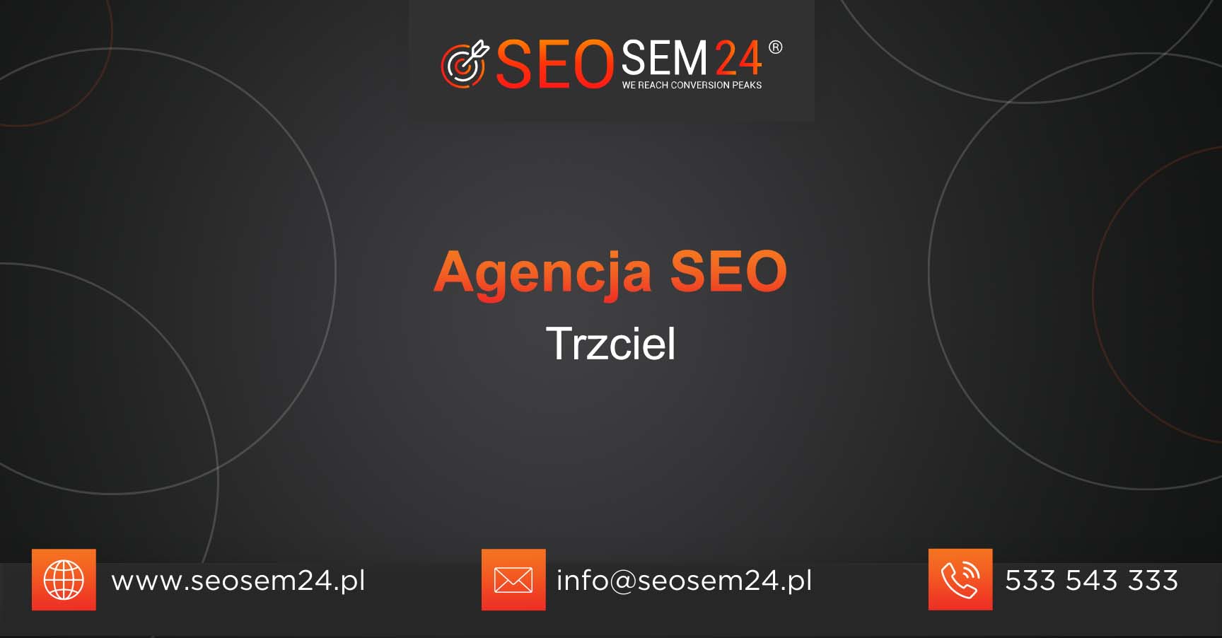 Agencja SEO Trzciel