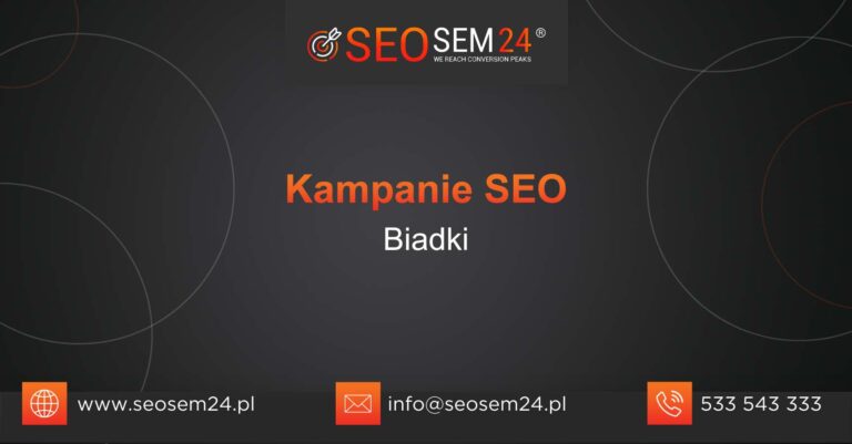 Kampanie SEO Biadki