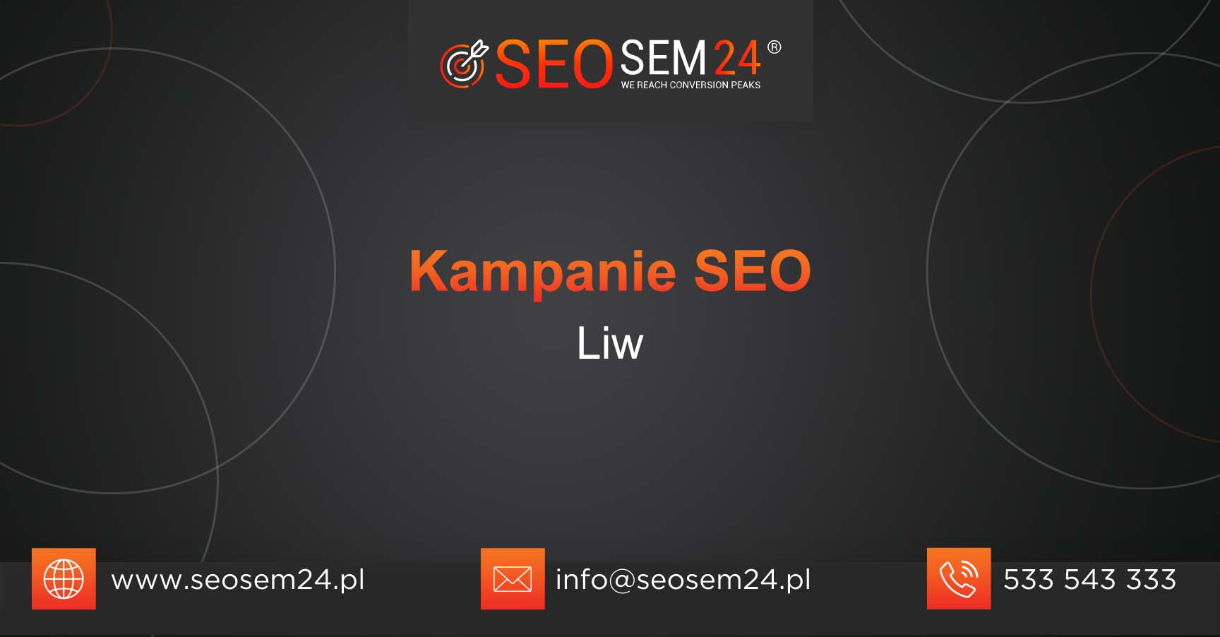 Kampanie SEO Liw