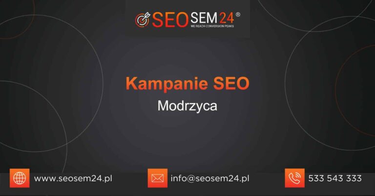 Kampanie SEO Modrzyca