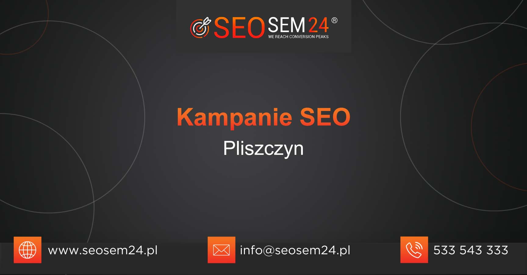 Kampanie SEO Pliszczyn