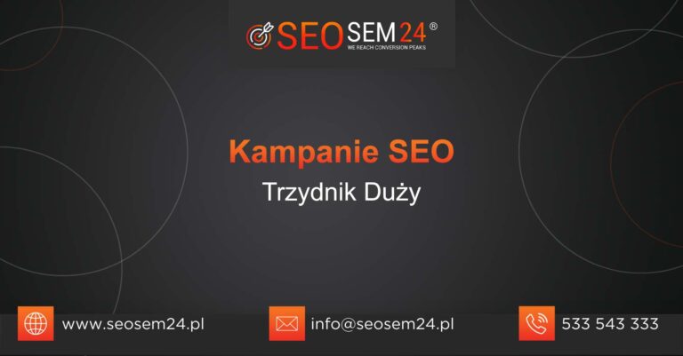 Kampanie SEO Trzydnik Duży
