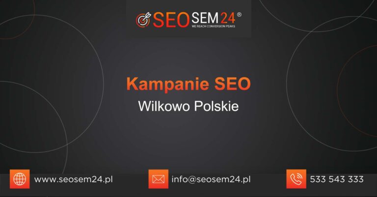 Kampanie SEO Wilkowo Polskie