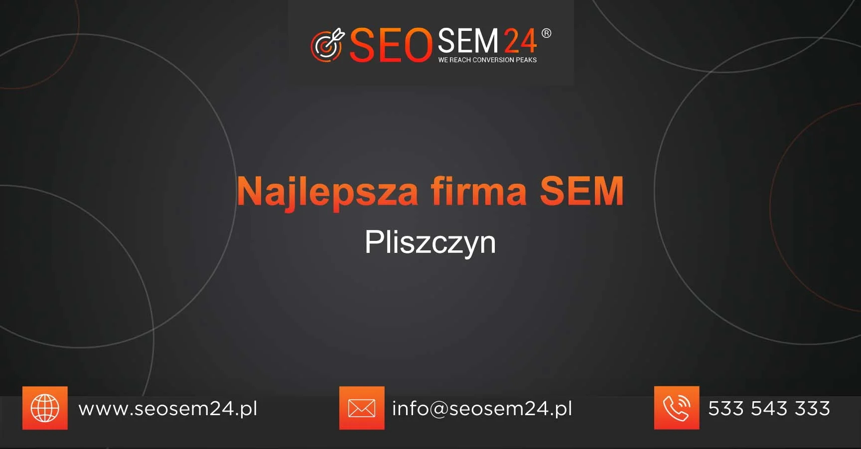 Najlepsza firma SEM Pliszczyn Najlepsza firma SEM Pliszczyn